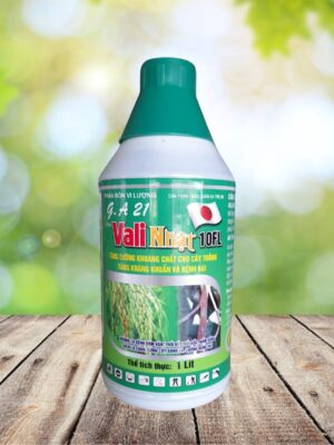 Thuốc trừ bệnh Vali Nhật 10FL - 1000ml