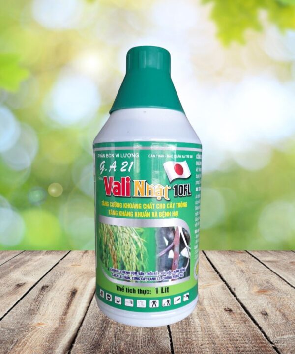 Thuốc trừ bệnh Vali Nhật 10FL - 1000ml