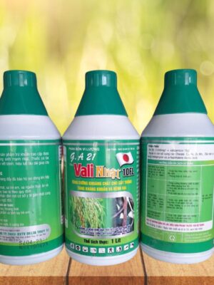 Thuốc trừ bệnh Vali Nhật 10FL - 1000ml